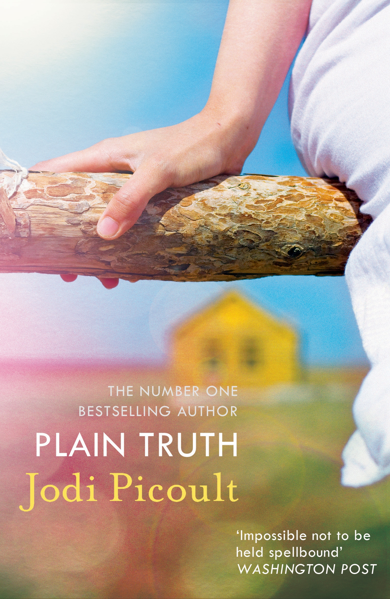 jodi picoult plain truth review jodi picoult plain truth review